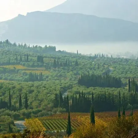 Aris, A Breath Away From Athens! *