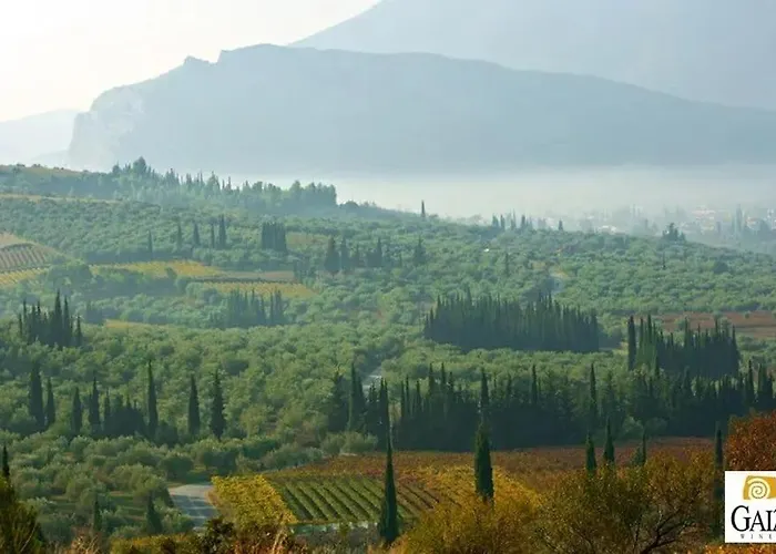 Aris, A Breath Away From Athens! *